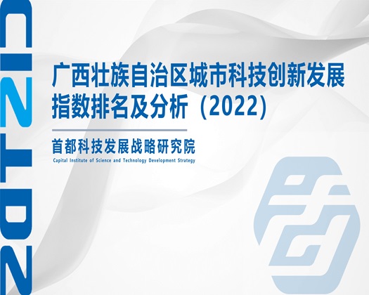 欧美操屄网站在线【成果发布】广西壮族自治区城市科技创新发展指数排名及分析（2022）